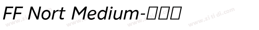 FF Nort Medium字体转换